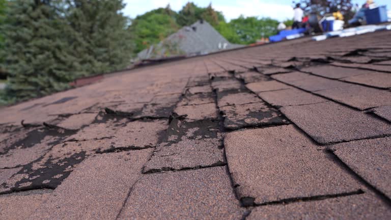 Best Solar Panel Roofing Installation  in Edgemont Park, MI
