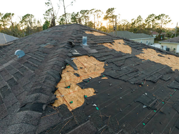 Best Roof Insulation Installation  in Edgemont Park, MI